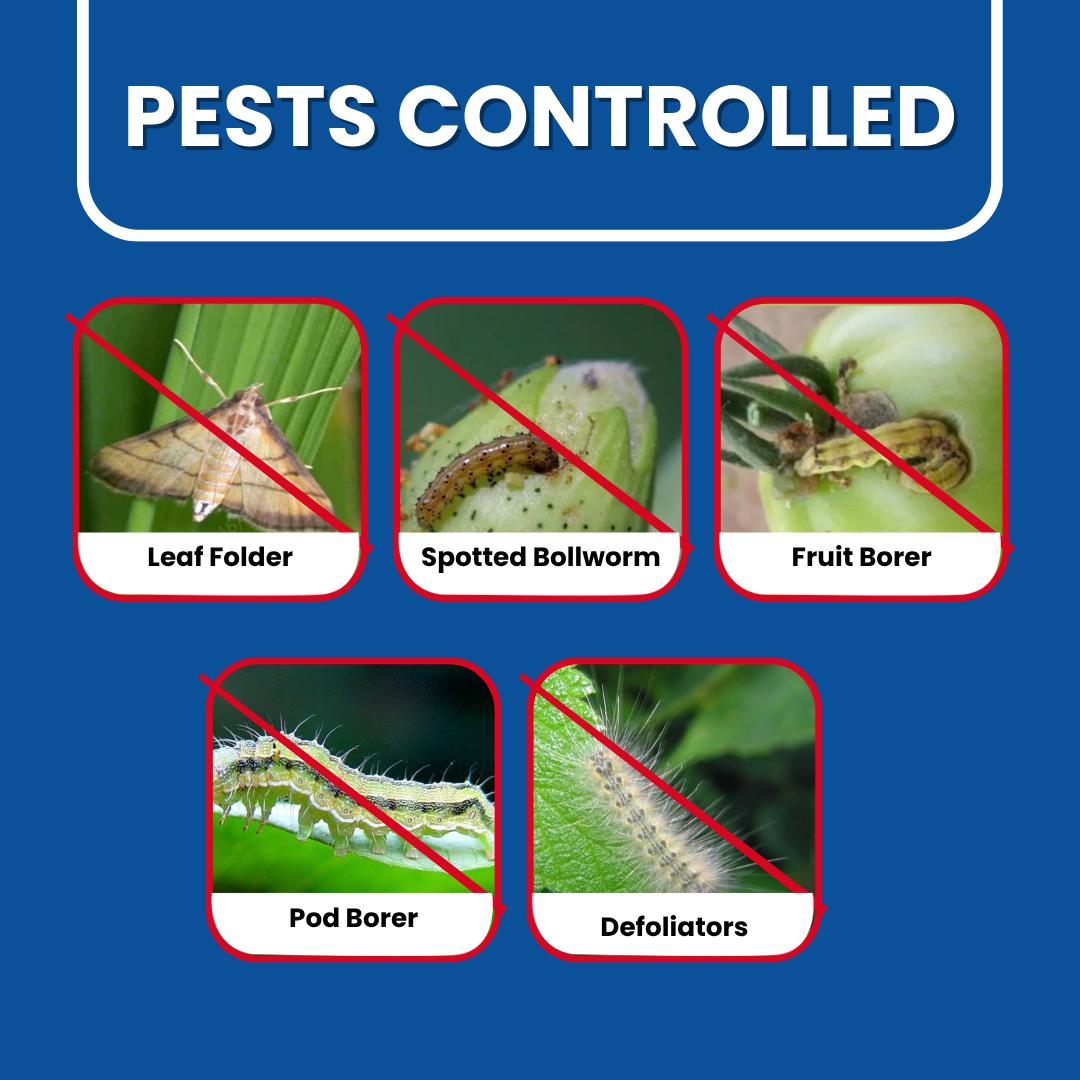 Flubexa pest control creative showing leaf folder, spotted bollworm, fruit borer, pod borer, and defoliator pests.