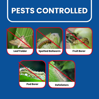 Flubexa pest control creative showing leaf folder, spotted bollworm, fruit borer, pod borer, and defoliator pests.