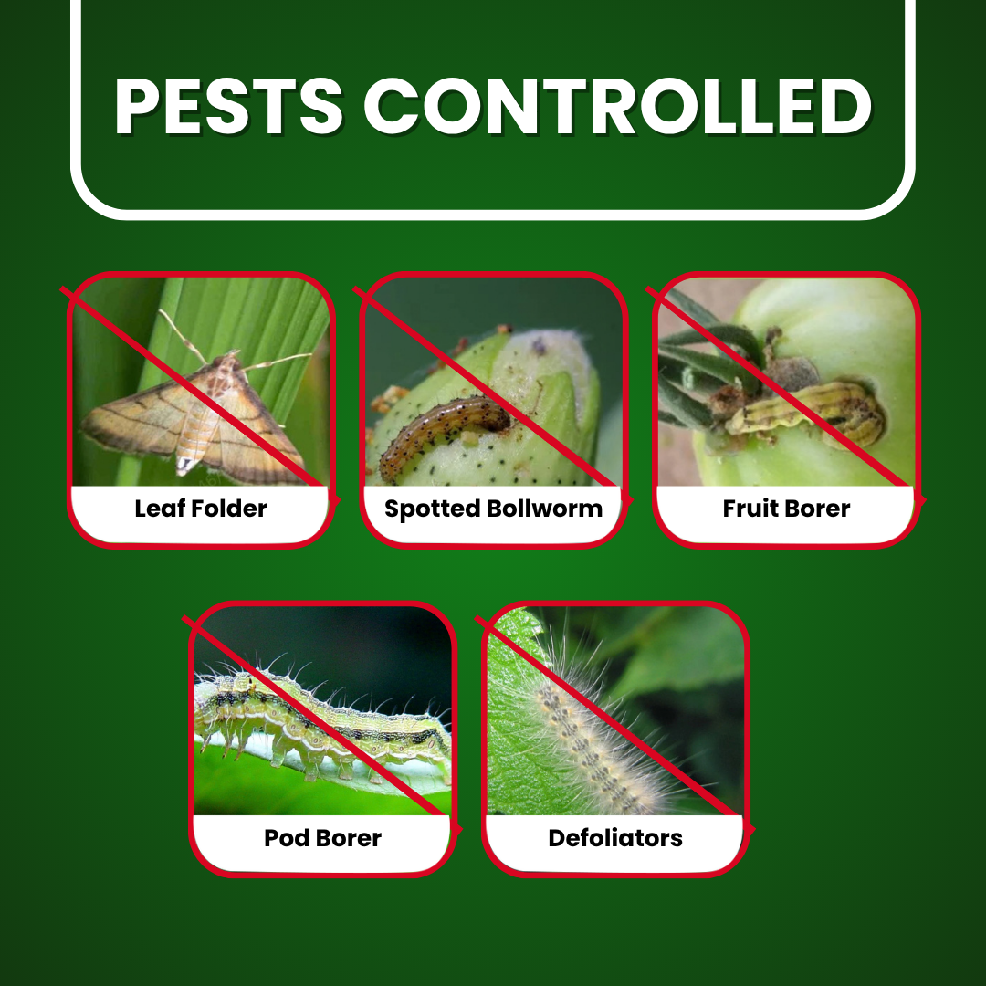 Flubexa pest control graphic featuring leaf folder, spotted bollworm, fruit borer, pod borer, and defoliator pests.