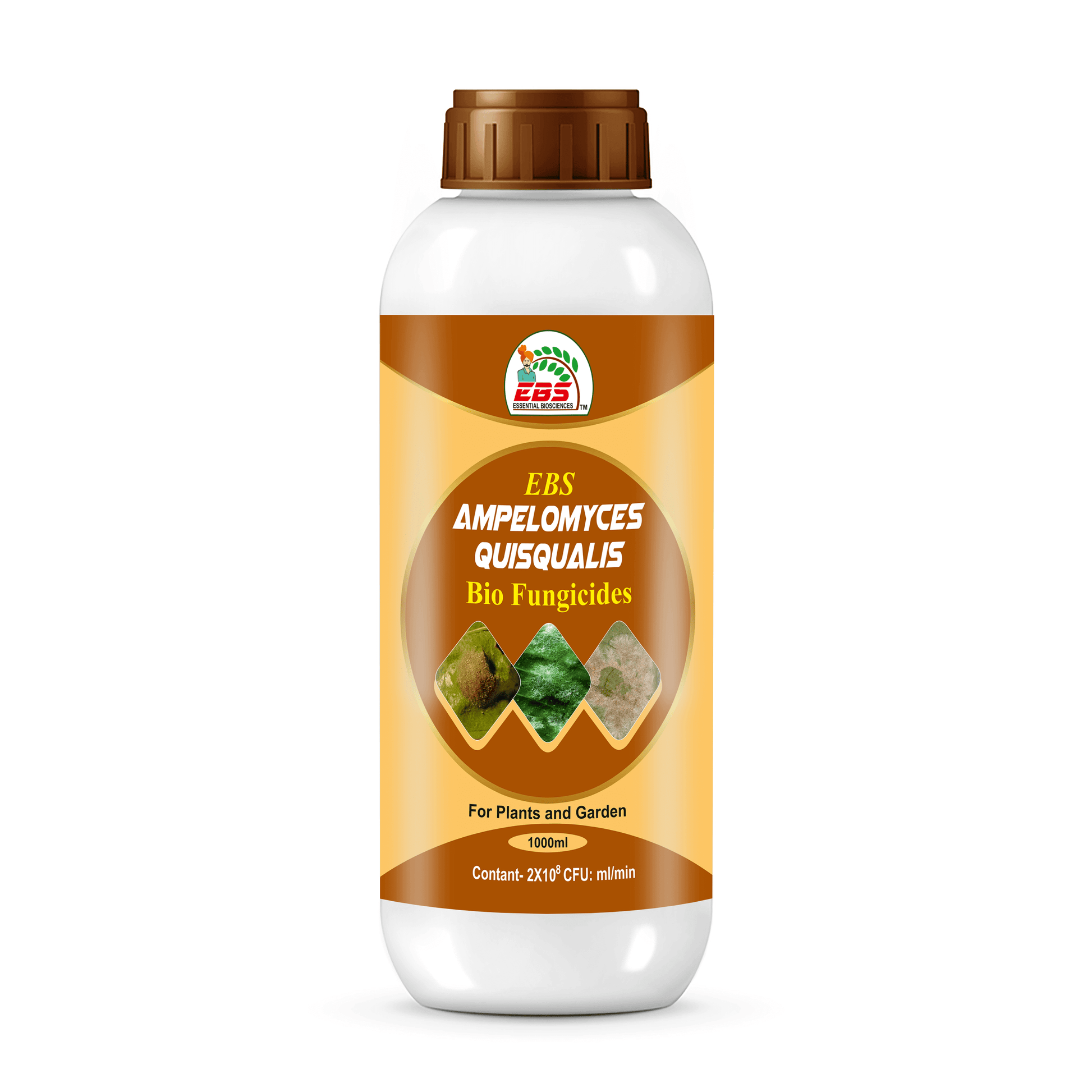 AmpelomycesQuisqualis bio fungicide