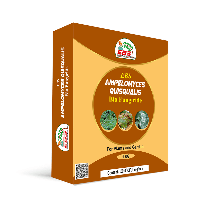 Krishikranti Ampelomyces Quisqualis Bio fungicide
