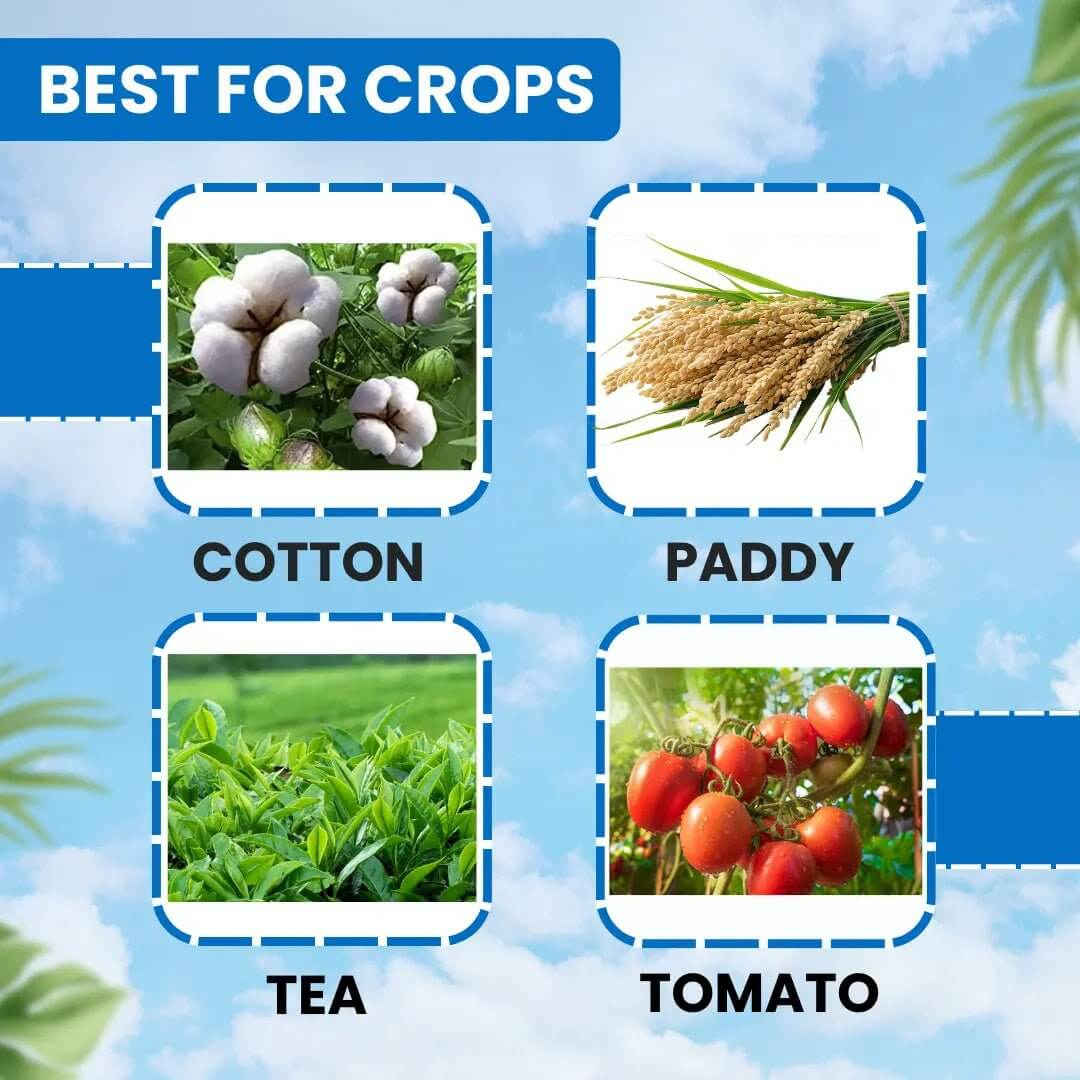 Images of cotton, paddy, tea, and tomato with text 'Best for Crops' on a blue background.