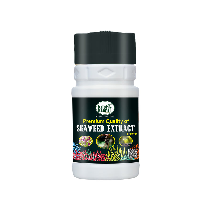 Krishikranti Seaweed Extract Fertilizer (Premium Quality) for Plant Growth & Yield Improvement