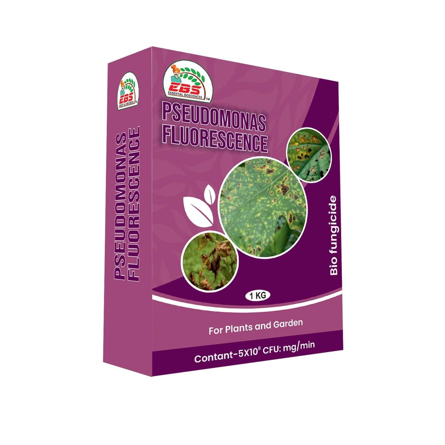 pseudomonas fluorescens powder bio fungicide for soil borne diseases