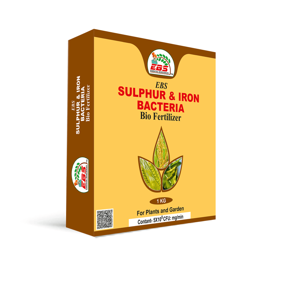 Krishikranti Sulphur & Iron Bacteria Bio Fertilizer Powder for Soil Fertility & Micronutrient Availability