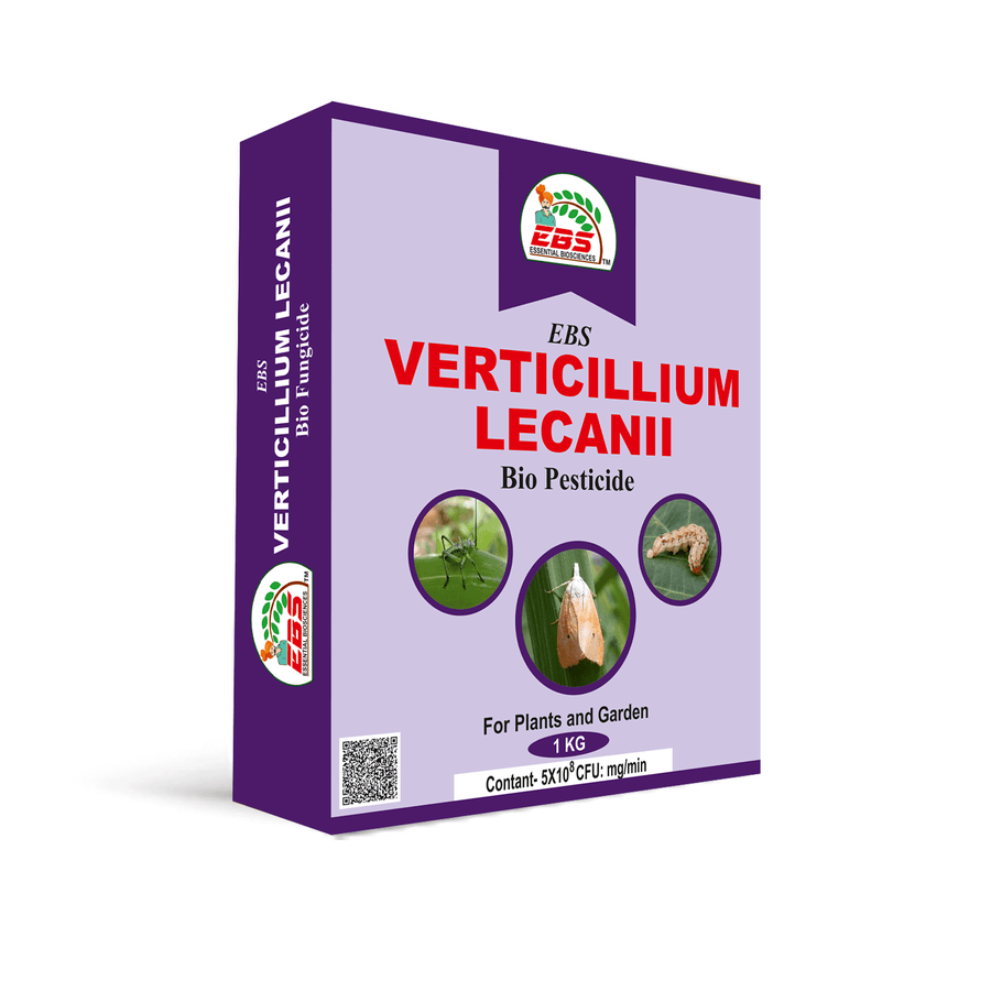 Krishikranti Verticillium Lecanii Natural Bio-Insecticide | Organic Control for Whitefly, Aphid, Thrips, Jassid, Mealybug &amp; Scale Insect in Cotton, Vegetables, Fruits & All Crops