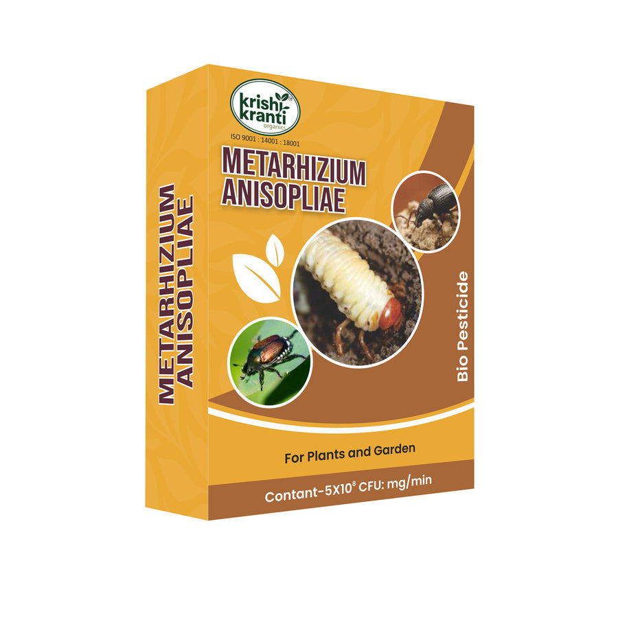 Krishikranti Metarhizium Anisopliae Bio Pesticide | CFU 5×10⁸/ml | Soil & Insect Pest Control