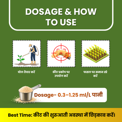 Oberto insecticide dosage and application guide showing solution preparation, targeted pest treatment, crop spraying, and dosage of 0.3–1.25 ml per litre of water.