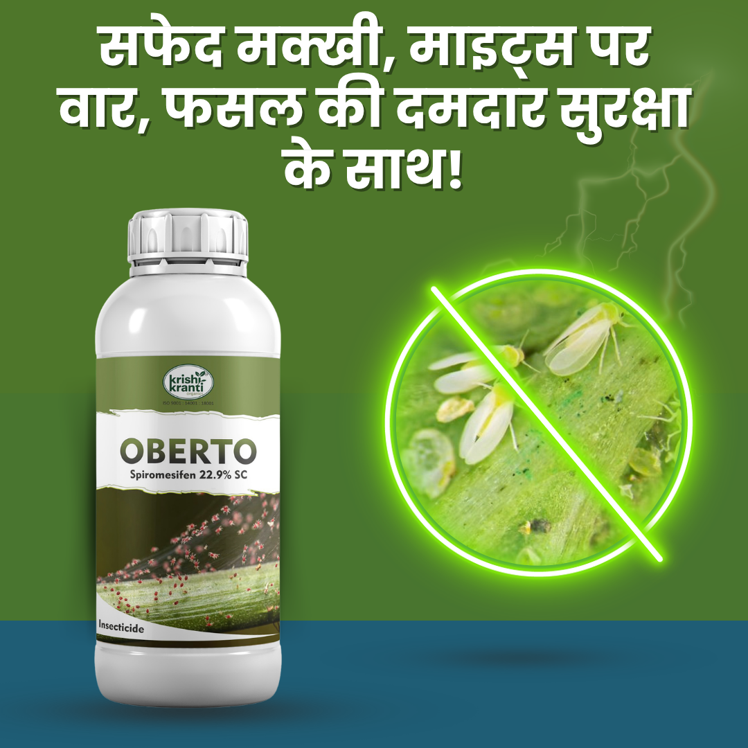 Oberto Spiromesifen 22.9% SC insecticide bottle with a graphic illustrating whitefly control on crop leaves.