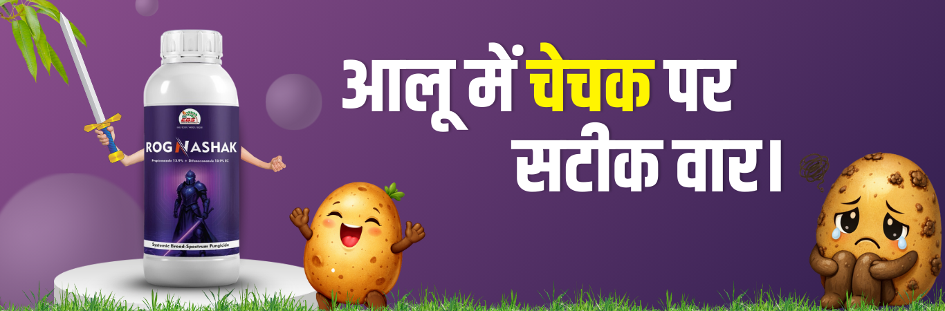 Potato crop pest control insecticide for effective control of cutworm infestation
