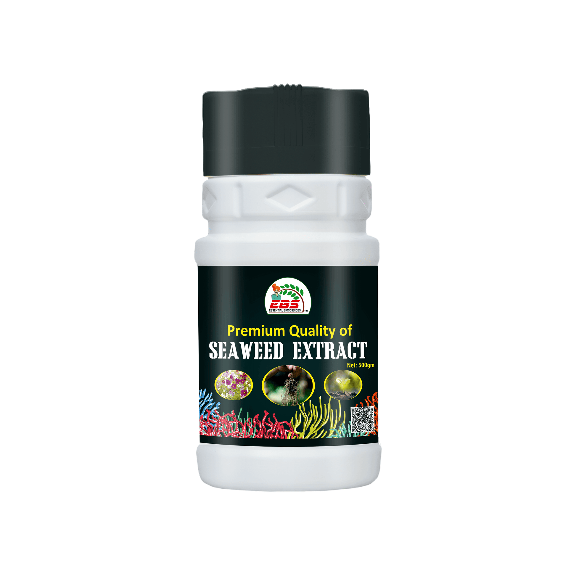 primium quality of SEAWEED EXTRACT