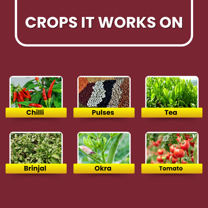 Crops featured in the Thioshield product guide, including chilli, pulses, tea, brinjal, okra, and tomato.