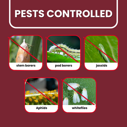 Thioshield pest control graphic featuring stem borers, pod borers, jassids, aphids, and whiteflies.